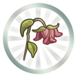 f:id:akusum26:20200304010036p:plain