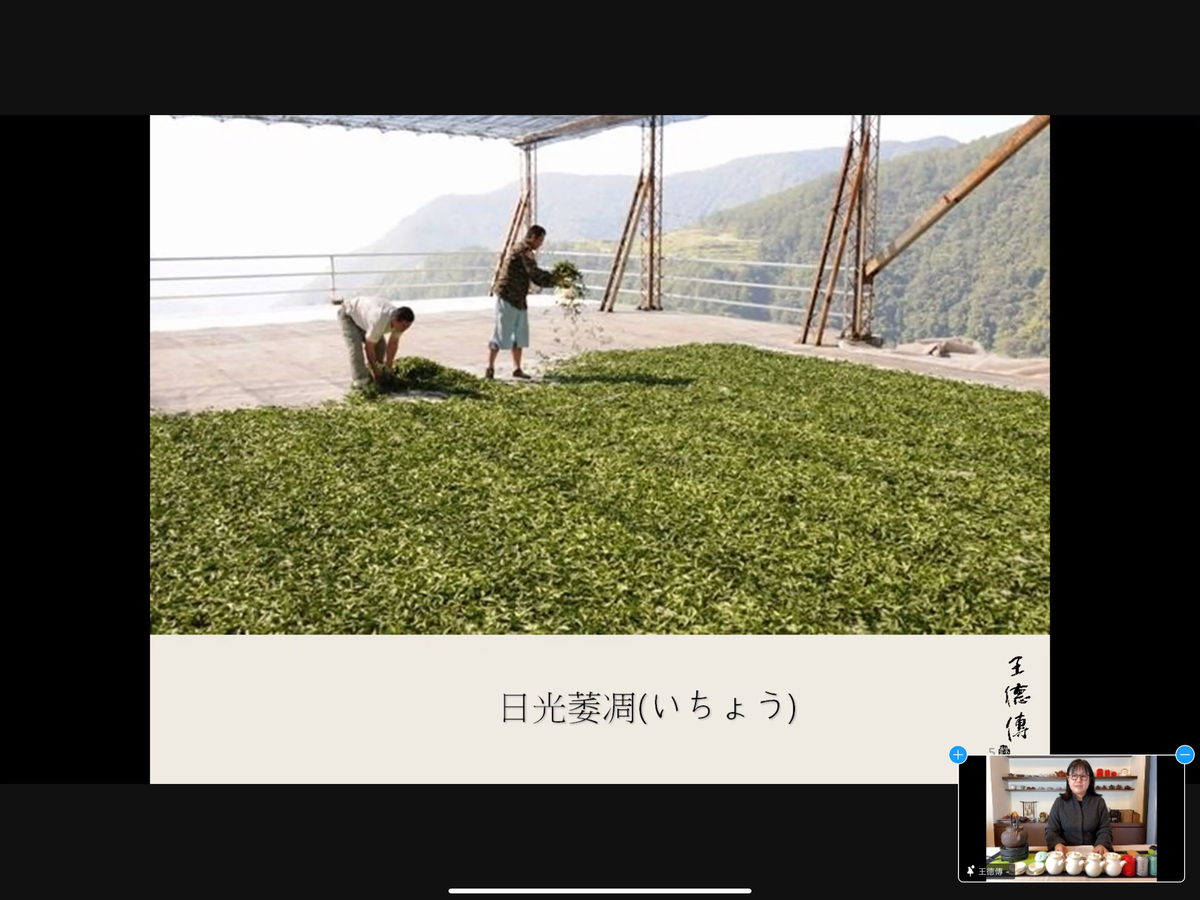 おうちで台湾気分が味わえるオンライン講座で台湾茶文化体験 -PR- - akuyan to