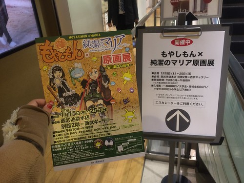 もやしもん 限定版 全巻セット 惑わない星 純潔のマリア 石川雅之 もやしもん 限定版 全巻セット 惑わない星 純潔のマリア 石川