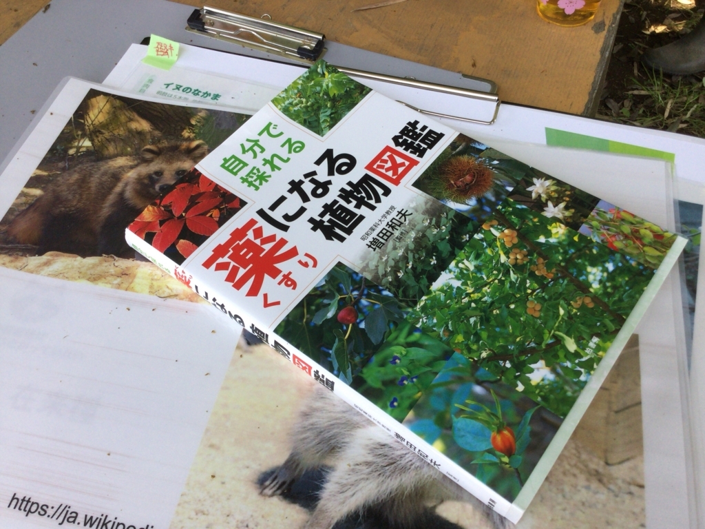 f:id:al-kana:20180509094711j:plain f:id:al-kana:20180509094711j:plain