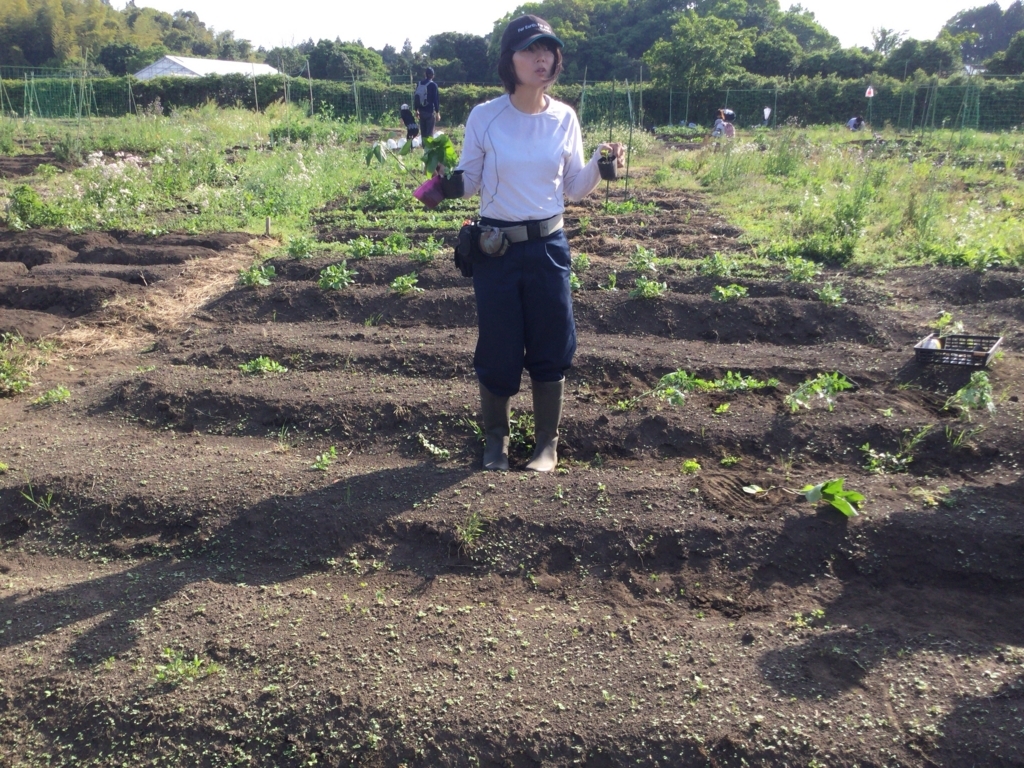 f:id:al-kana:20180509095037j:plain f:id:al-kana:20180509095037j:plain