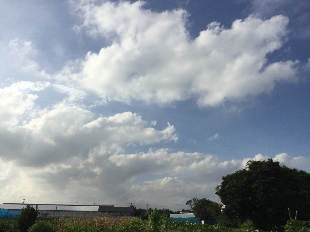 f:id:al-kana:20180910021552j:plain f:id:al-kana:20180910021552j:plain