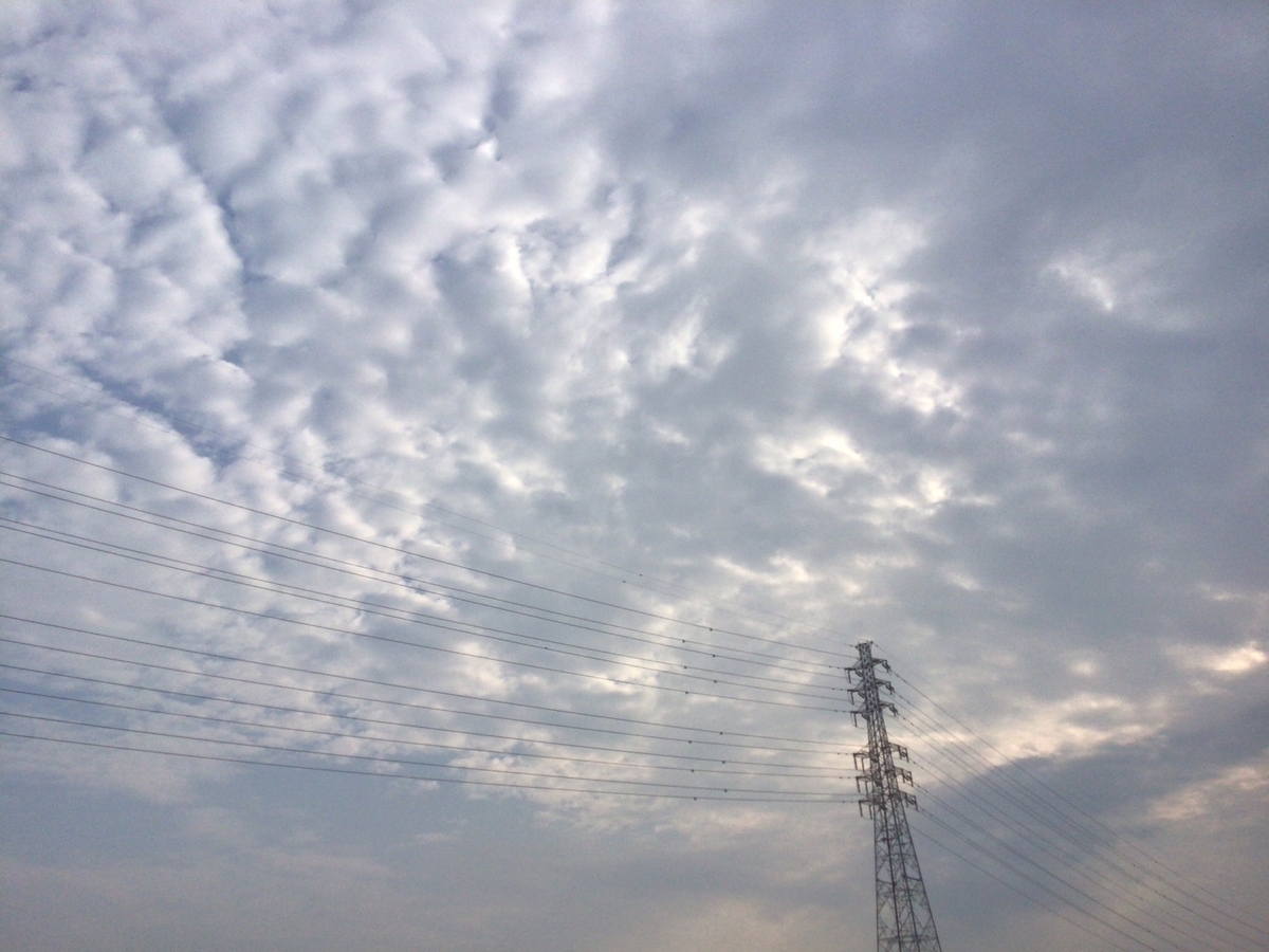 f:id:al-kana:20190829132905j:plain