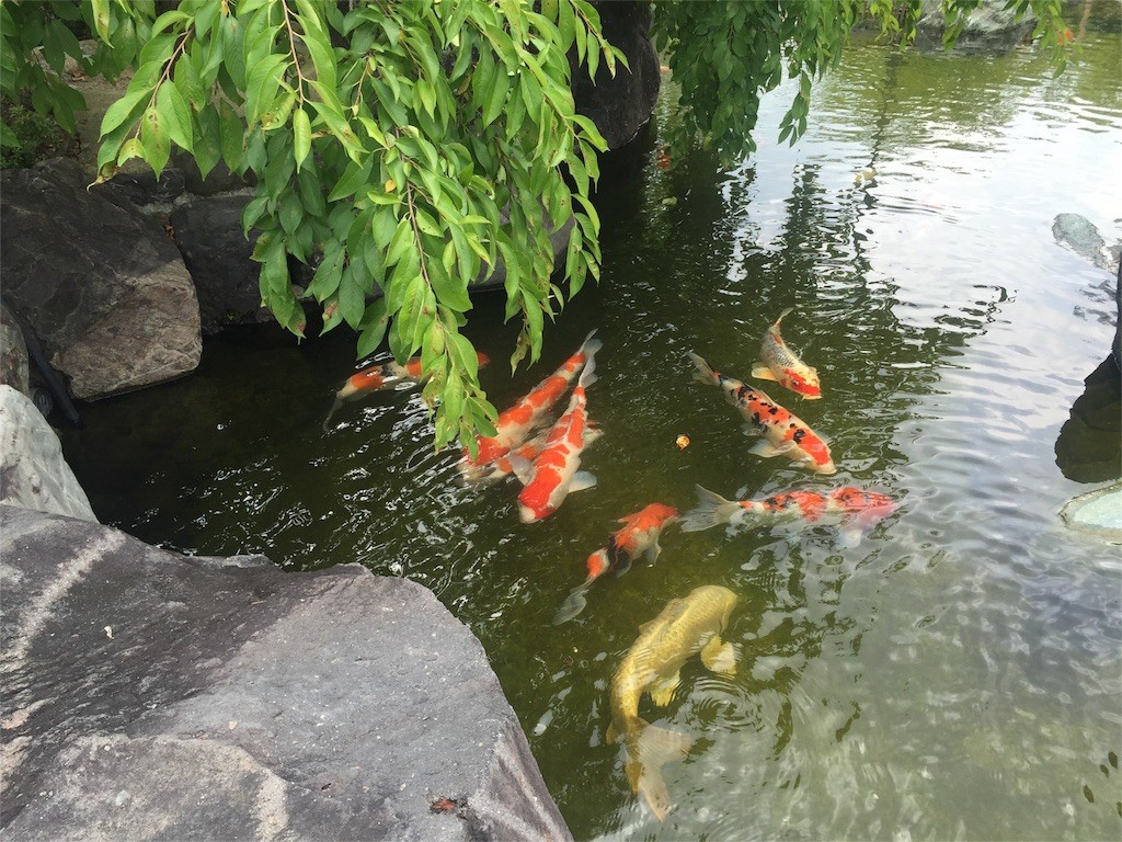 f:id:aladin_a4:20160815230959j:image