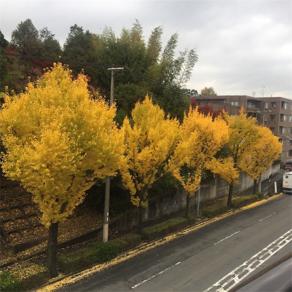 f:id:aladin_a4:20161120101832j:image