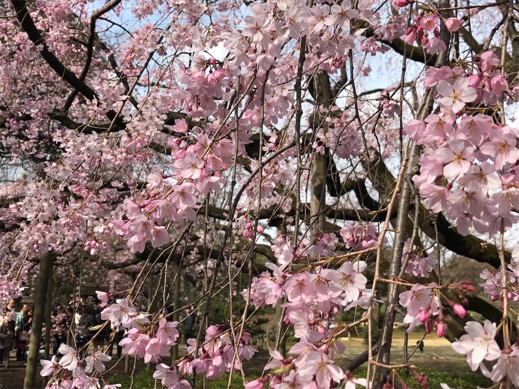 f:id:aladin_a4:20170402094629j:image