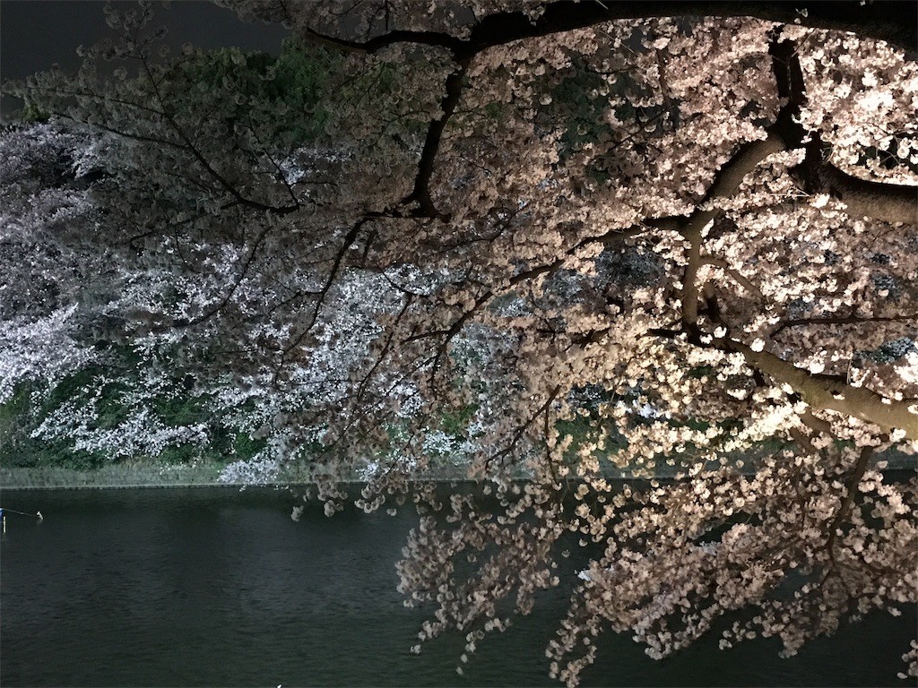 f:id:aladin_a4:20170406202804j:image