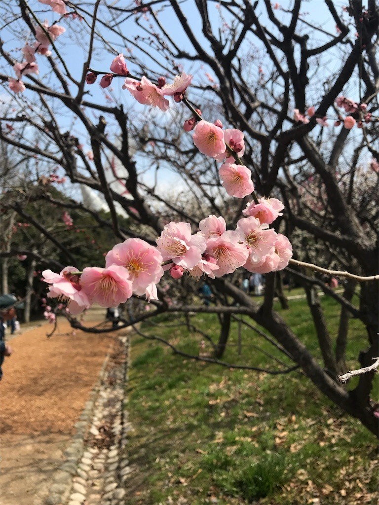 f:id:aladin_a4:20180311170051j:image
