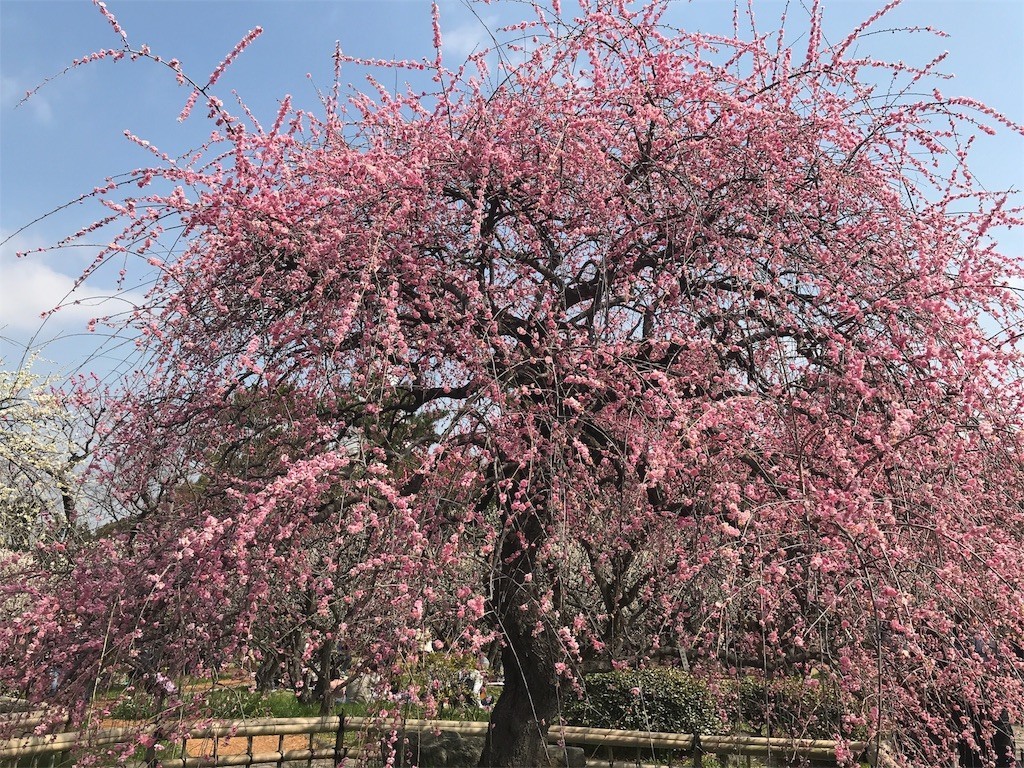 f:id:aladin_a4:20180311170119j:image