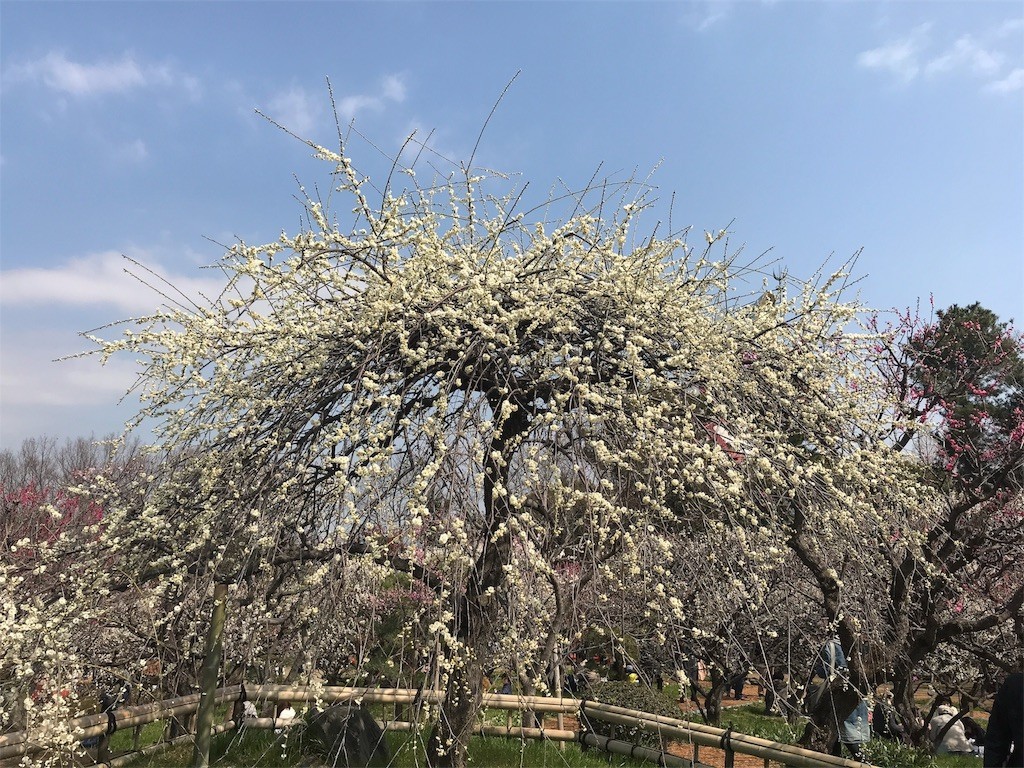 f:id:aladin_a4:20180311170134j:image