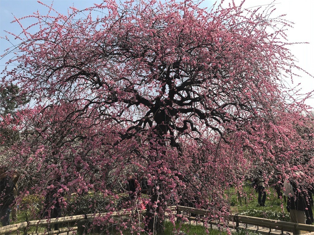 f:id:aladin_a4:20180311170157j:image