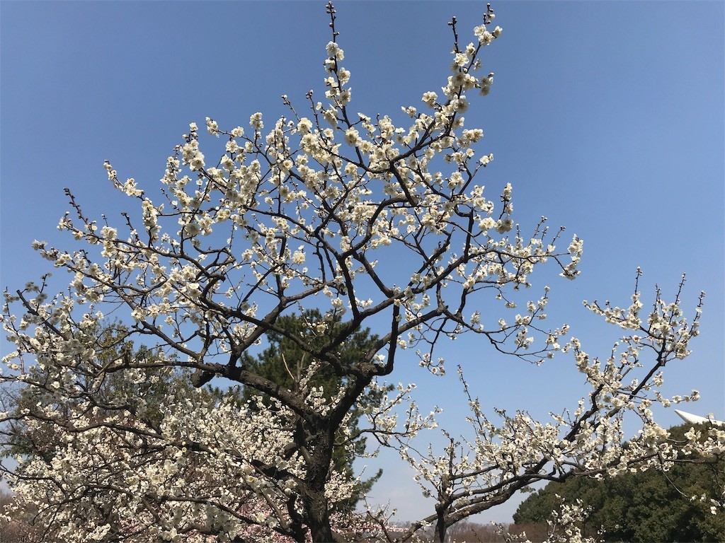f:id:aladin_a4:20180311170210j:image
