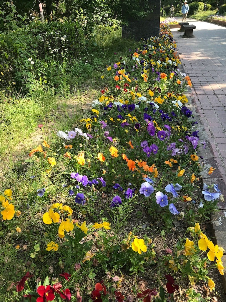 f:id:aladin_a4:20180506220216j:image
