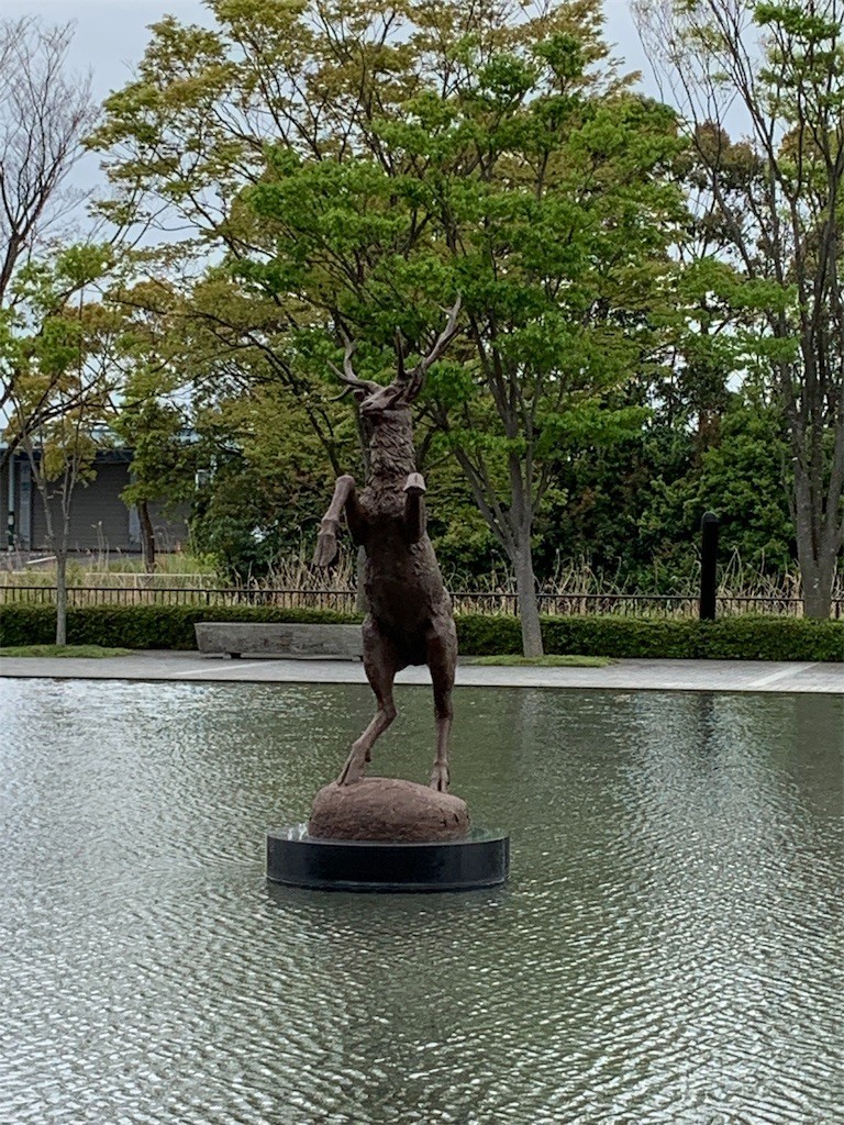f:id:aladin_a4:20190429192400j:image