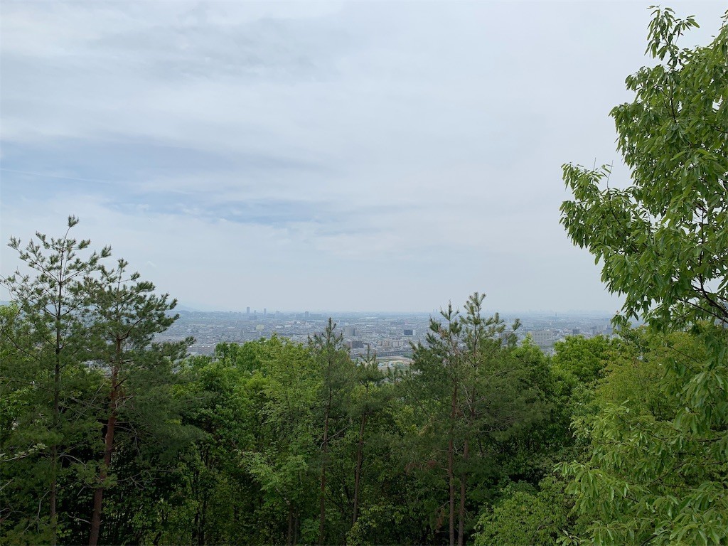 f:id:aladin_a4:20190504054659j:image
