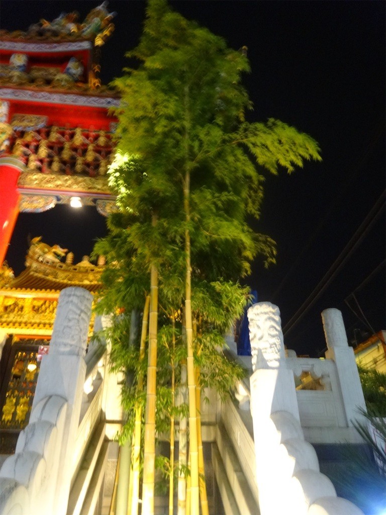 f:id:aladin_a4:20190722075245j:image f:id:aladin_a4:20190722075245j:image