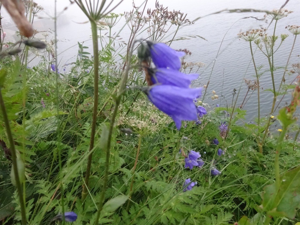 f:id:aladin_a4:20190904001019j:image f:id:aladin_a4:20190904001019j:image