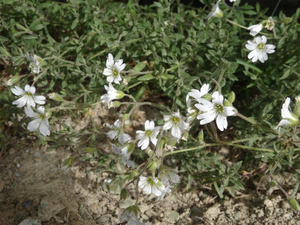 f:id:aladin_a4:20190905230535j:image f:id:aladin_a4:20190905230535j:image