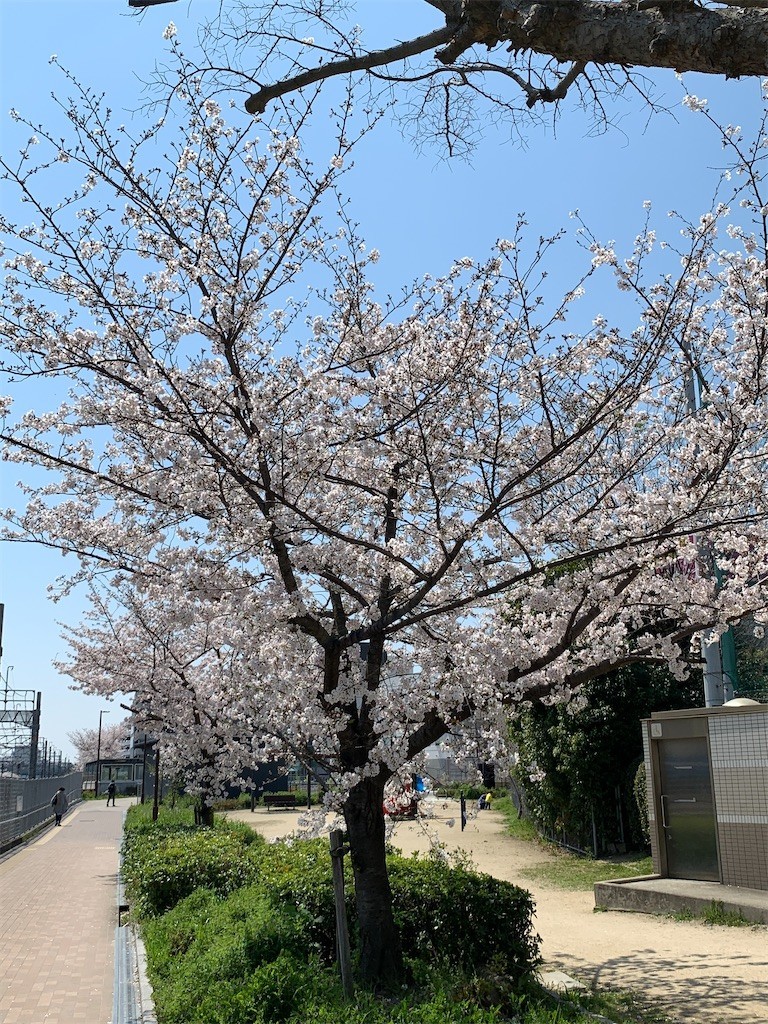 f:id:aladin_a4:20200404225010j:image