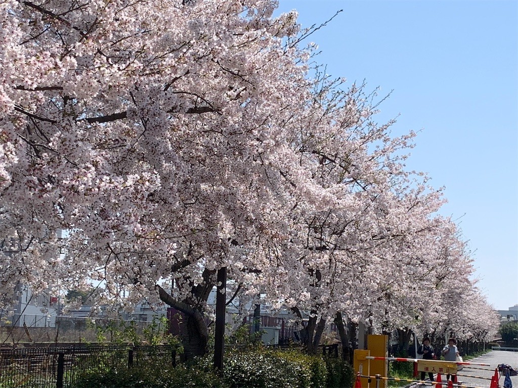 f:id:aladin_a4:20200404225026j:image