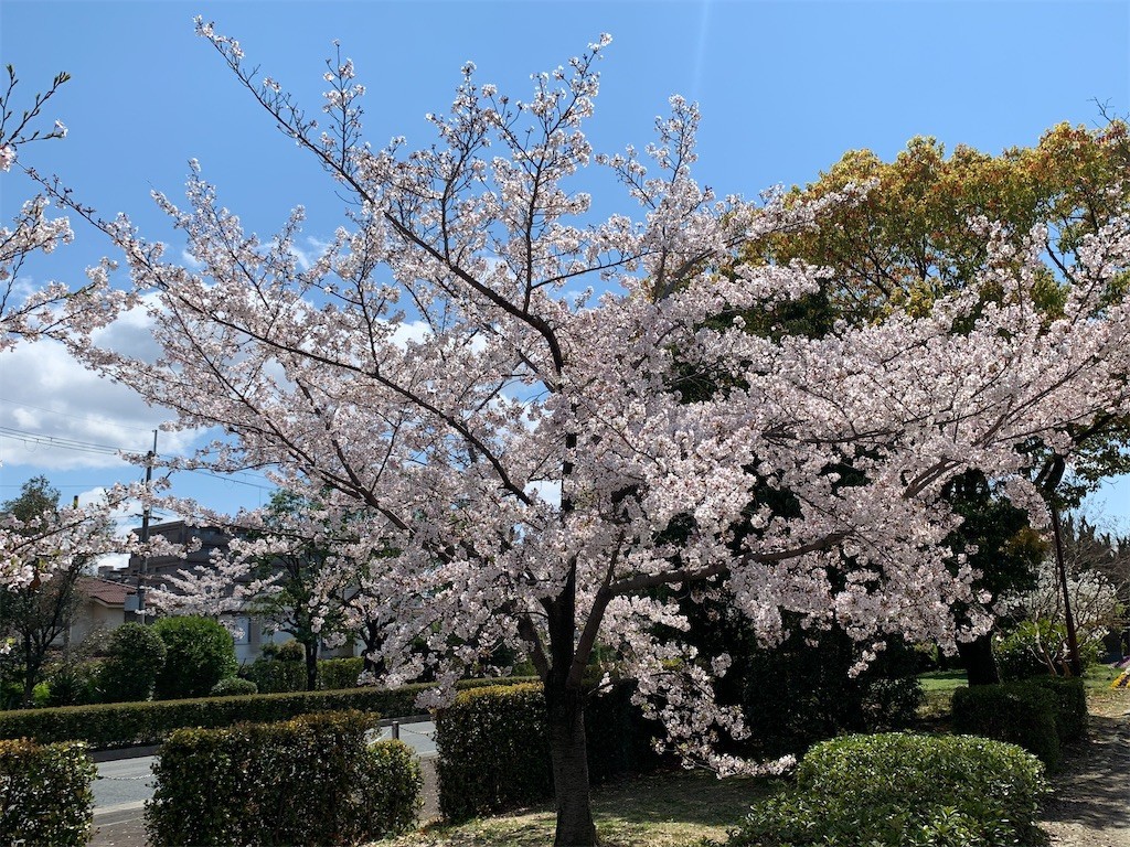 f:id:aladin_a4:20200405151452j:image