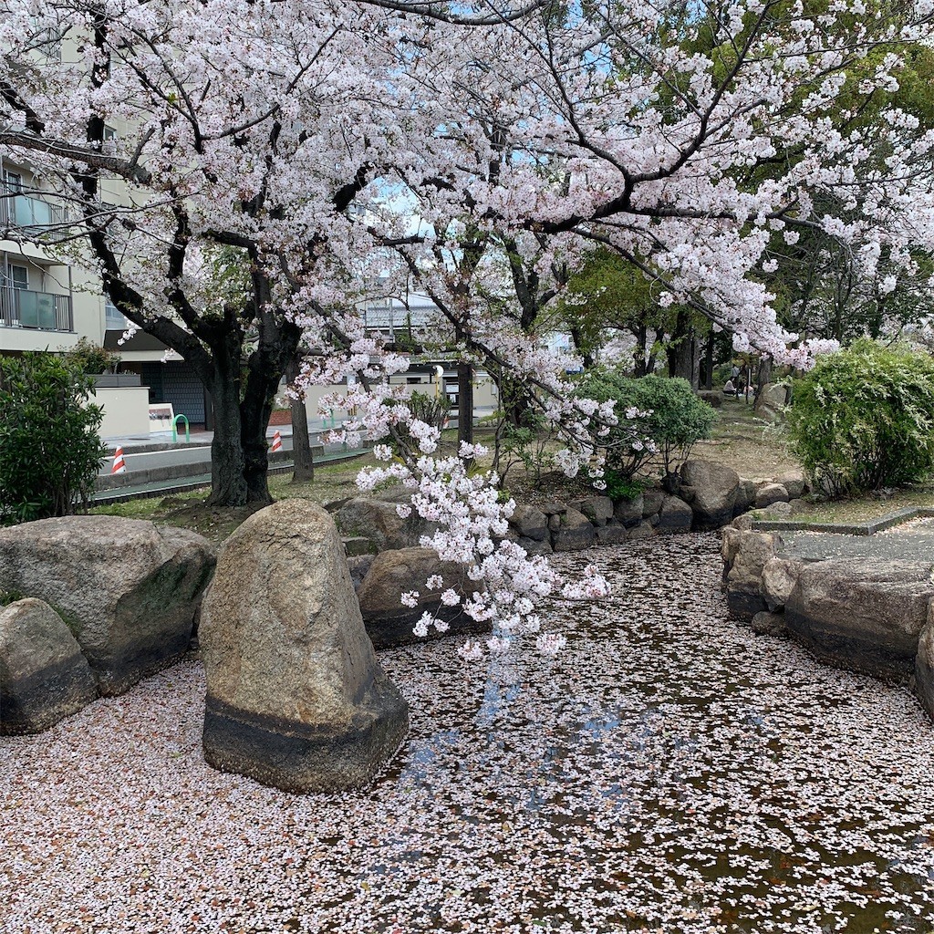 f:id:aladin_a4:20200405151520j:image