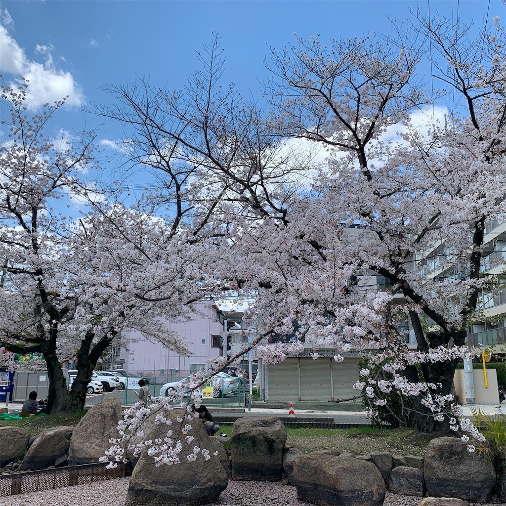 f:id:aladin_a4:20200405151527j:image