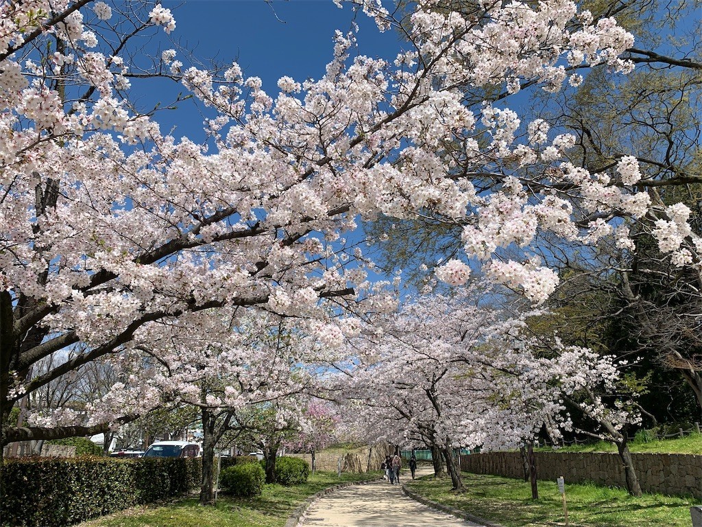 f:id:aladin_a4:20200405151617j:image