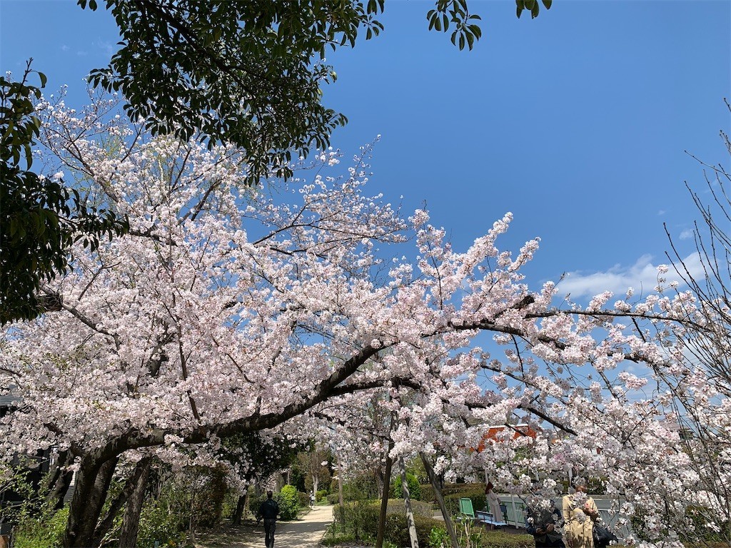 f:id:aladin_a4:20200405151639j:image