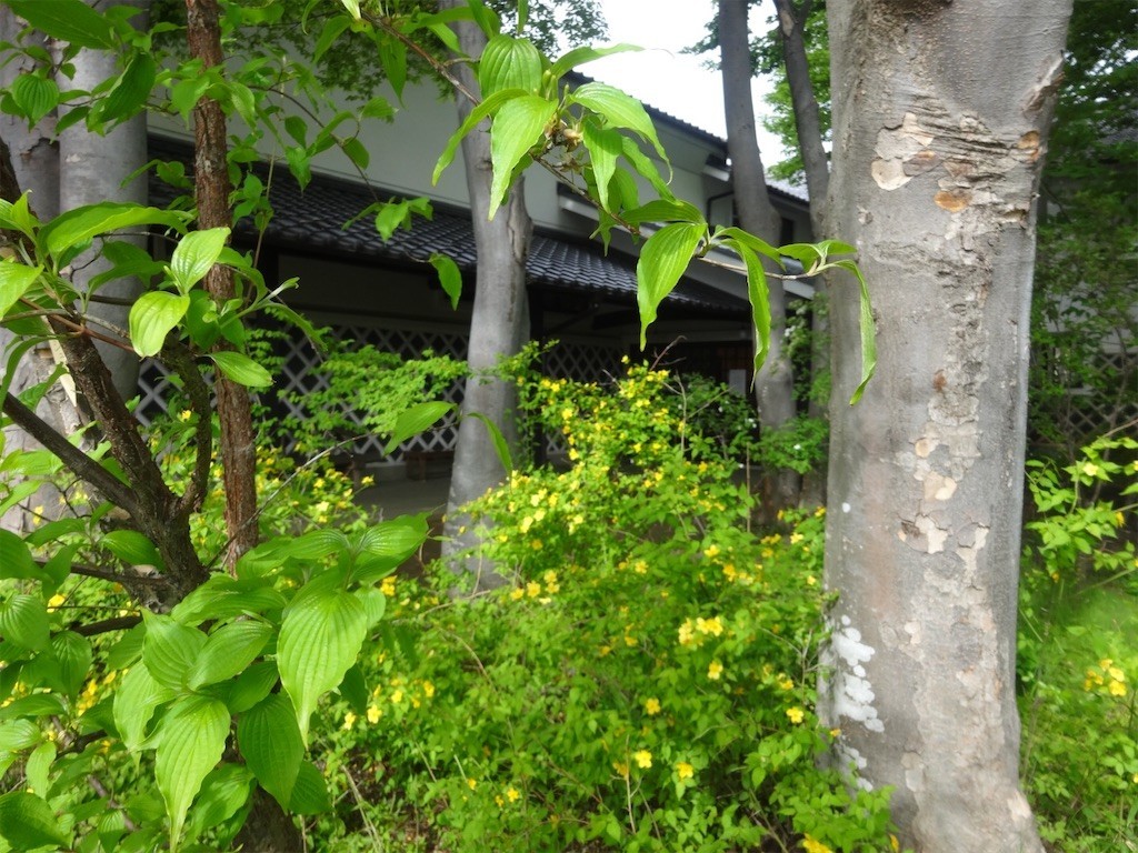 f:id:aladin_a4:20210503070551j:image