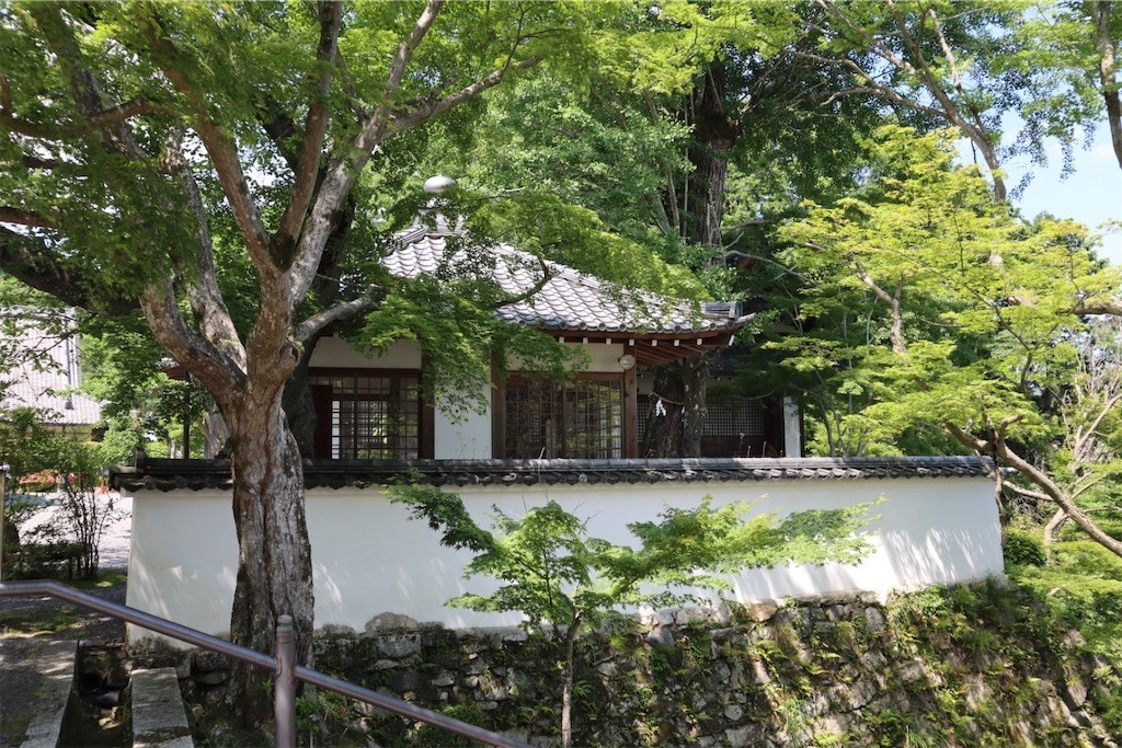 f:id:aladin_a4:20210530171459j:image