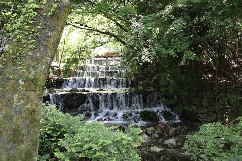 f:id:aladin_a4:20210530172623j:image