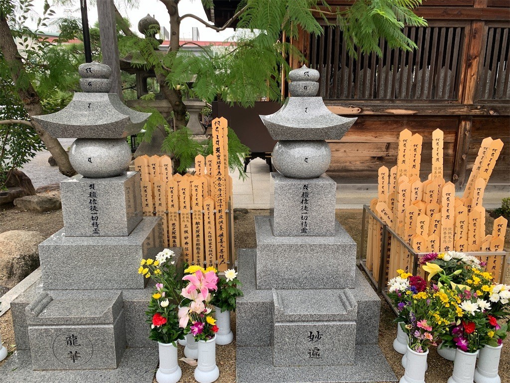 f:id:aladin_a4:20210905221212j:image