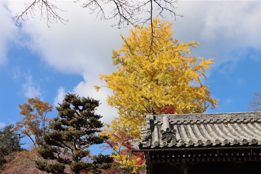 f:id:aladin_a4:20211123144919j:image