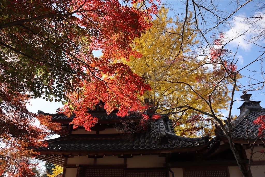 f:id:aladin_a4:20211123144951j:image