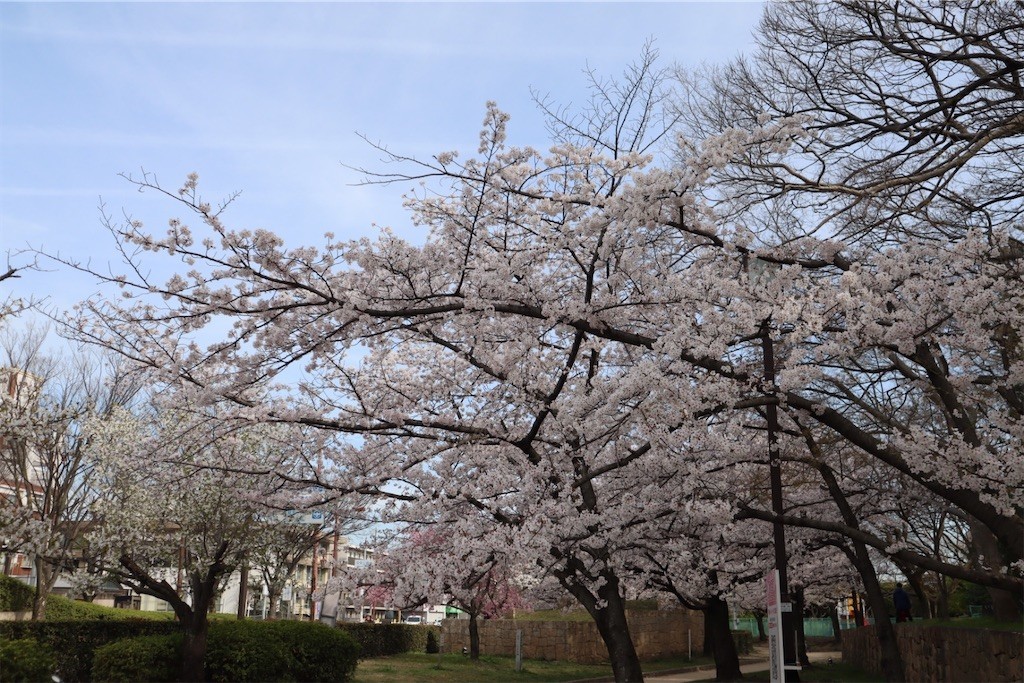 f:id:aladin_a4:20220402222526j:image