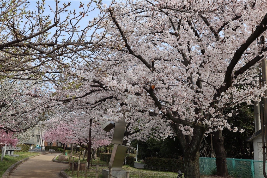 f:id:aladin_a4:20220402222624j:image