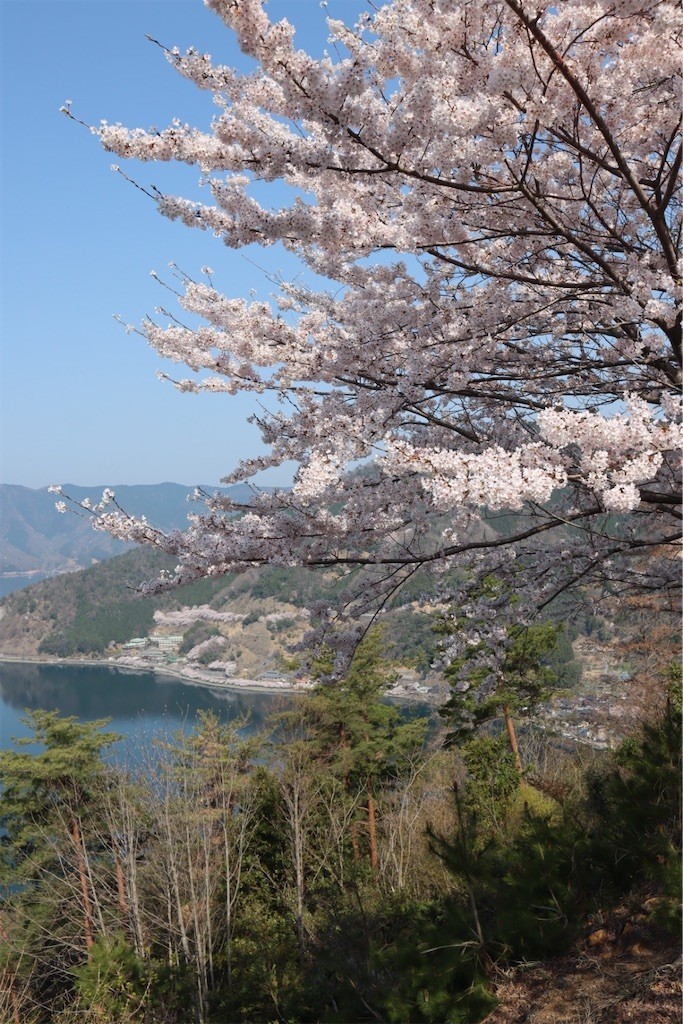 f:id:aladin_a4:20220410152958j:image