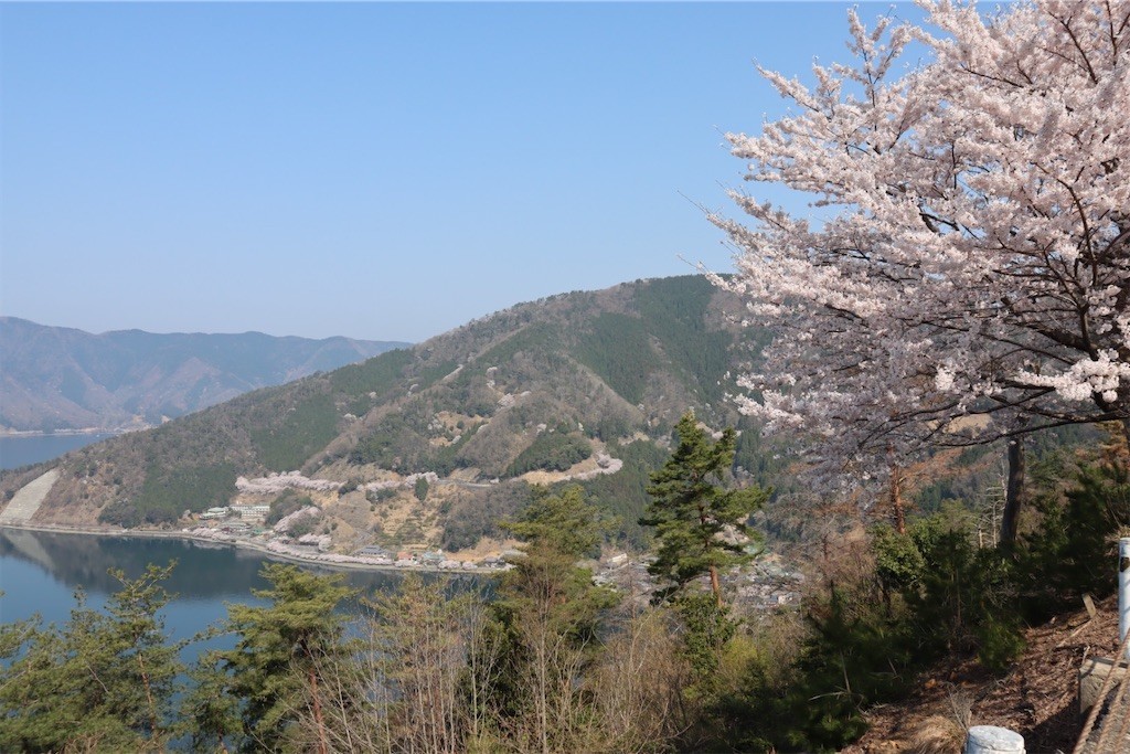 f:id:aladin_a4:20220410153007j:image