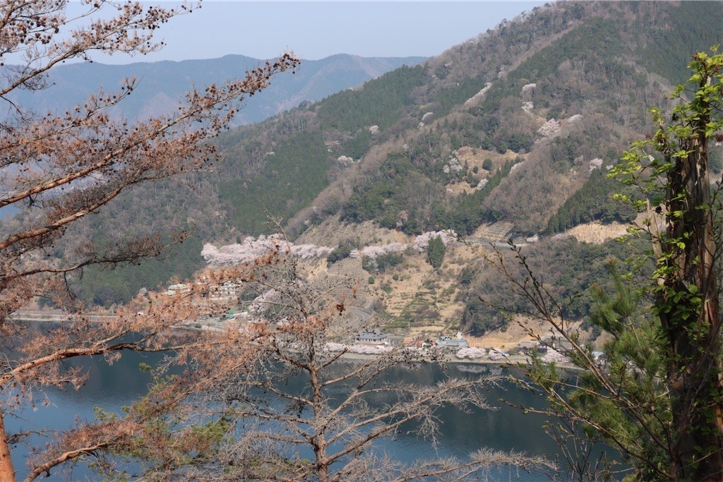 f:id:aladin_a4:20220410153032j:image