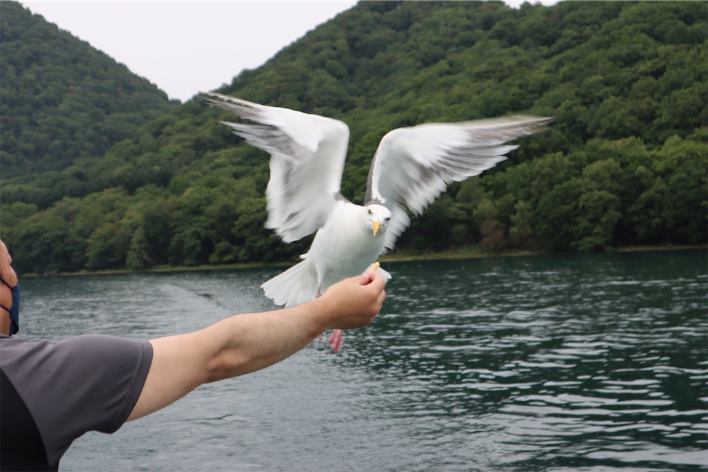 f:id:aladin_a4:20220815173239j:image