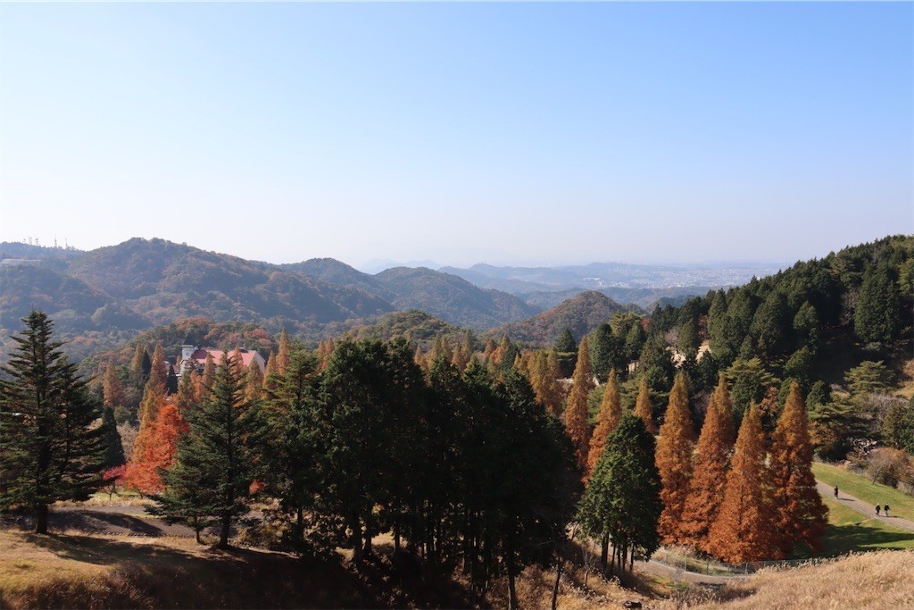 f:id:aladin_a4:20221113095732j:image