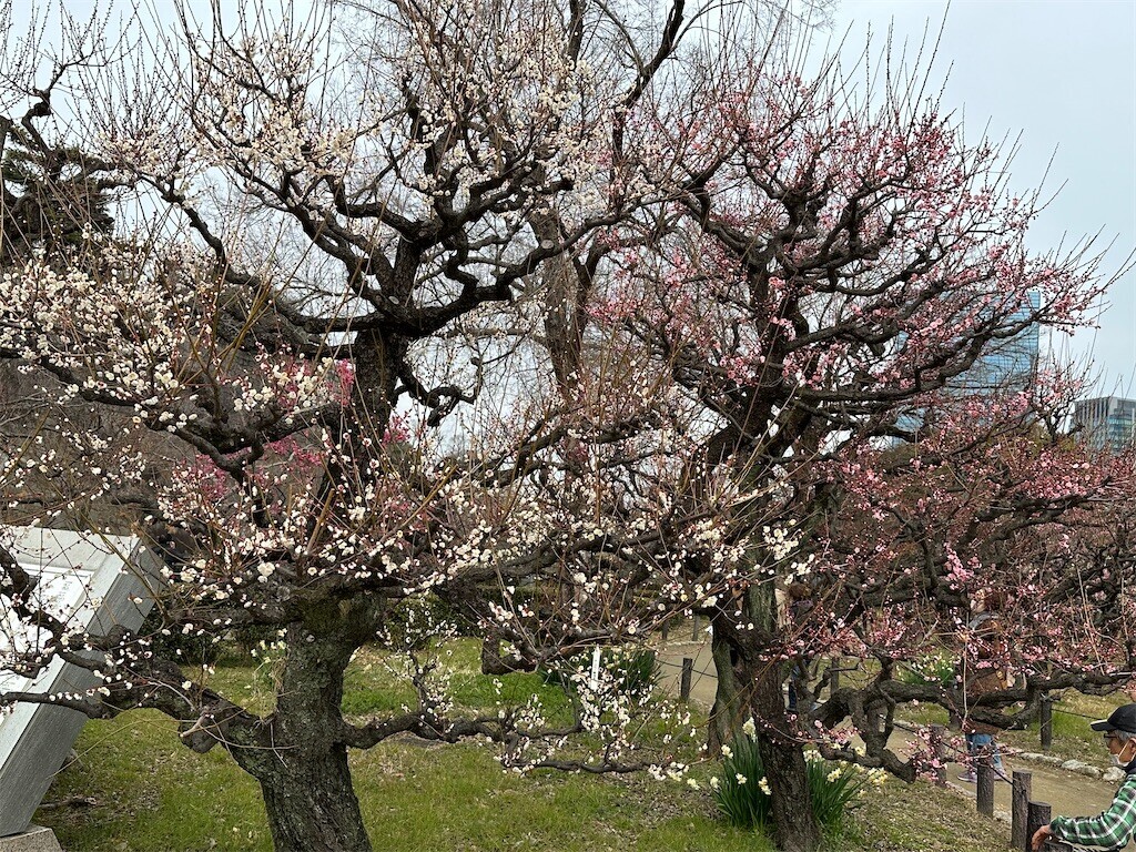 f:id:aladin_a4:20230223160137j:image