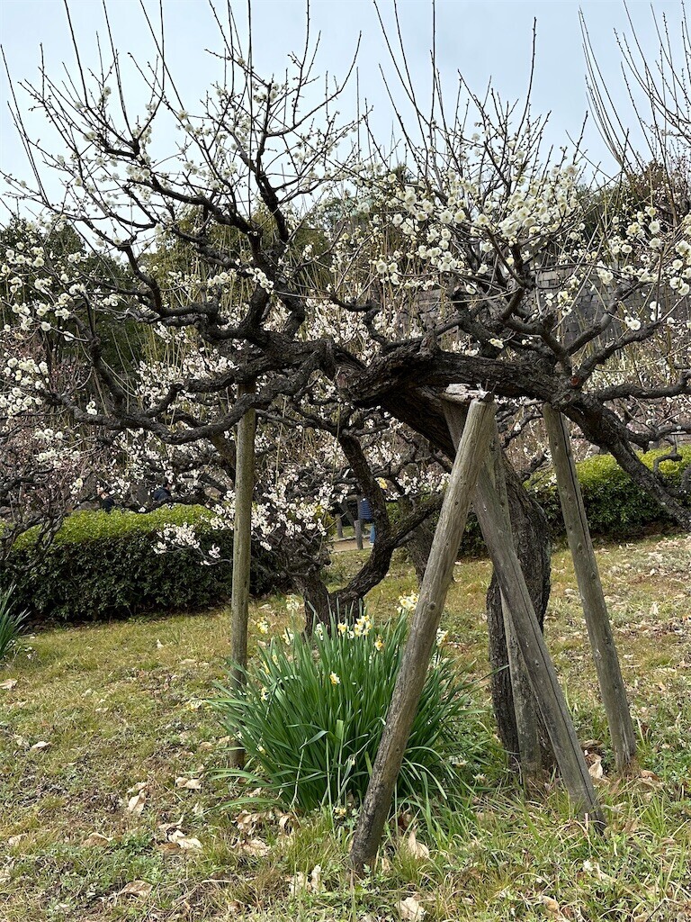 f:id:aladin_a4:20230223160145j:image