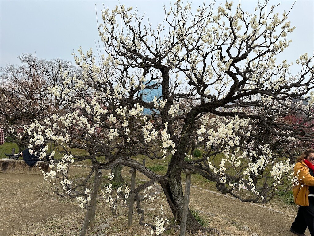 f:id:aladin_a4:20230223160203j:image
