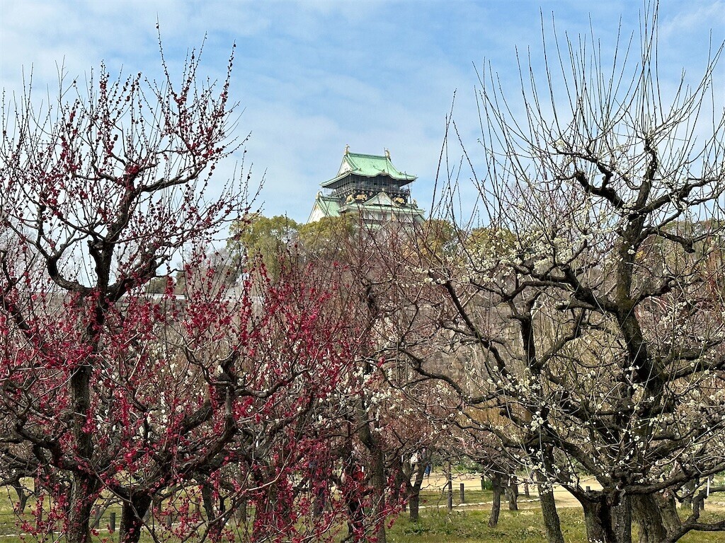 f:id:aladin_a4:20230223160208j:image