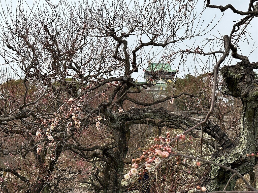 f:id:aladin_a4:20230223160303j:image