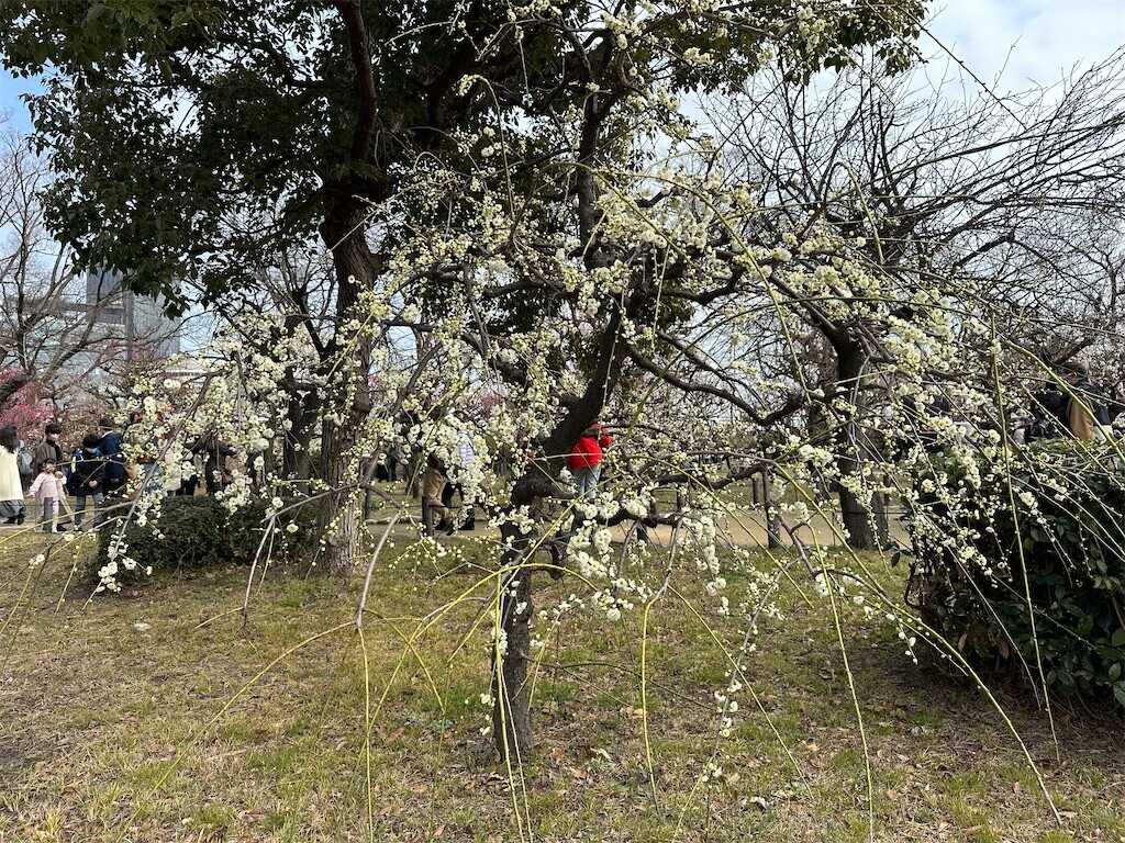 f:id:aladin_a4:20230223160315j:image