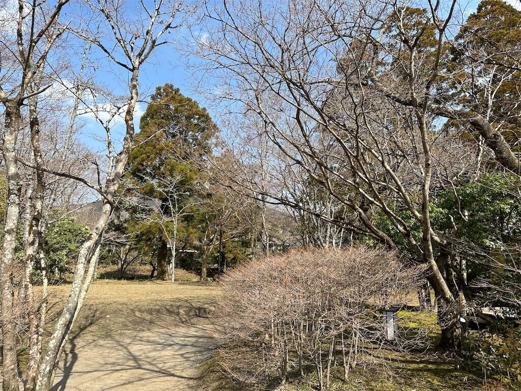 f:id:aladin_a4:20230312170921j:image