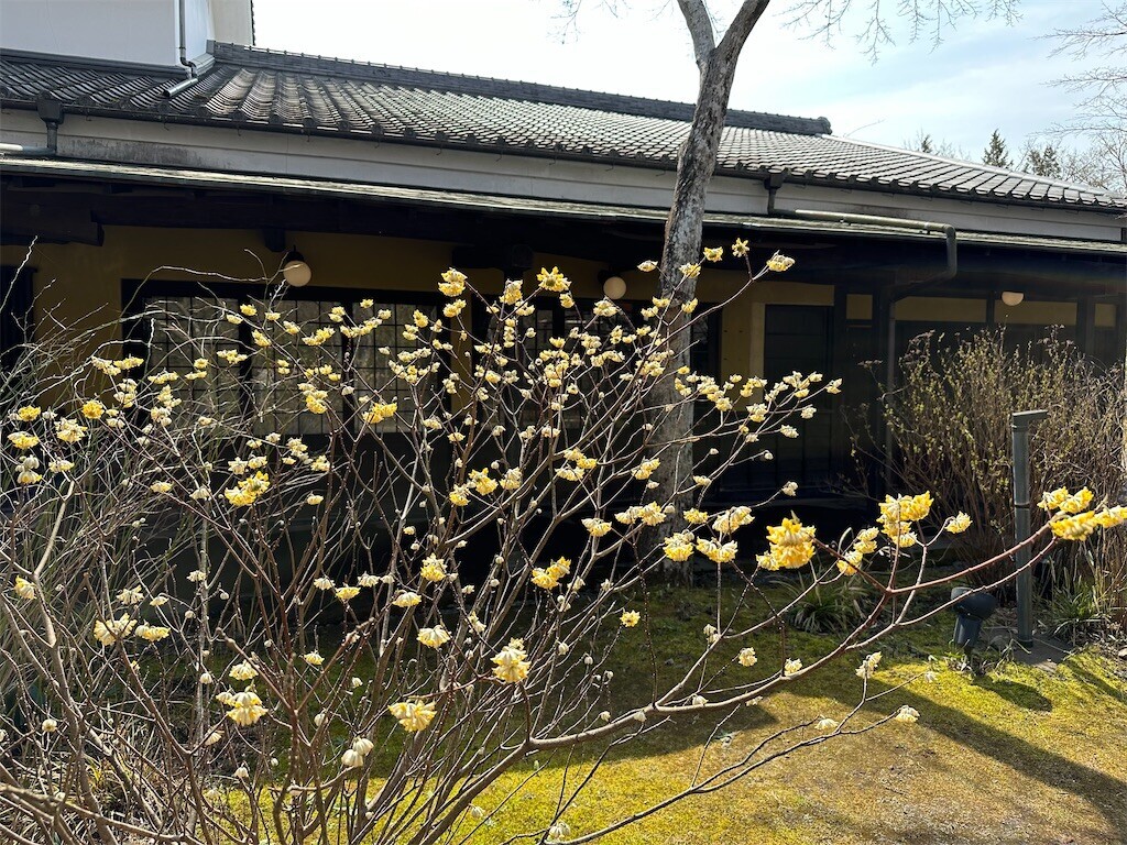 f:id:aladin_a4:20230312171210j:image